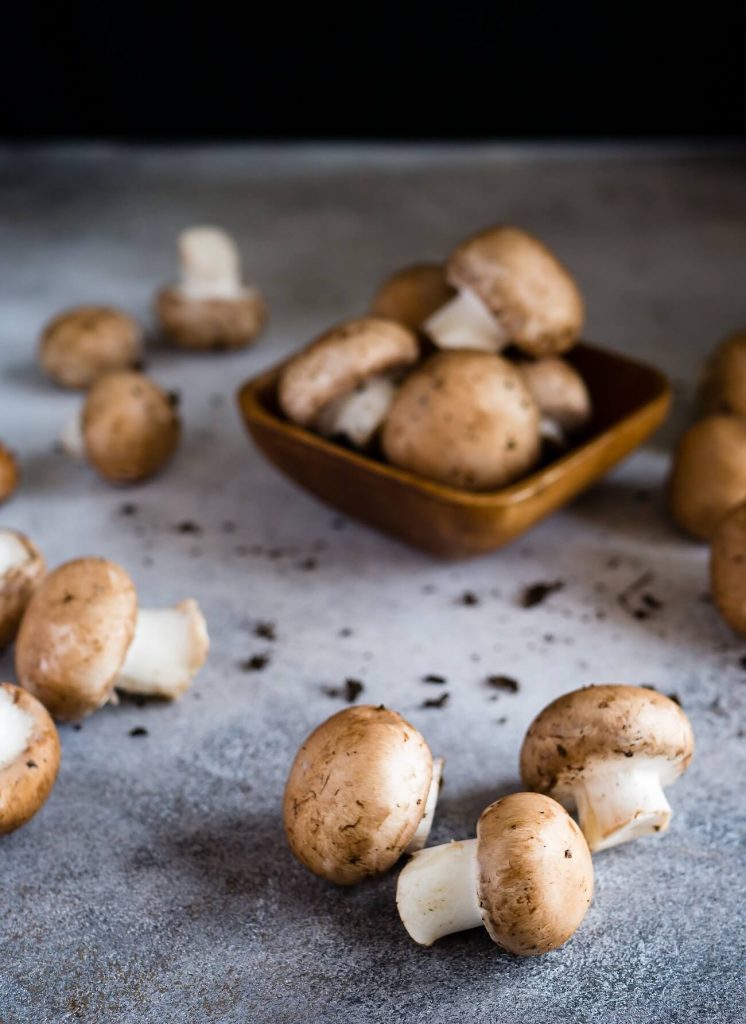 Pilze Semmelknödel Vegetarische Speisen Pirna